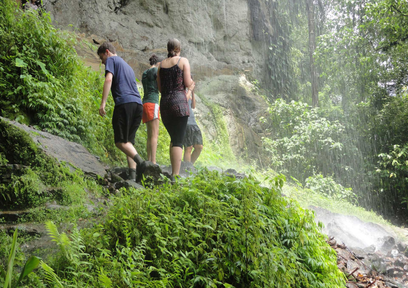 Hiking Through Paradise