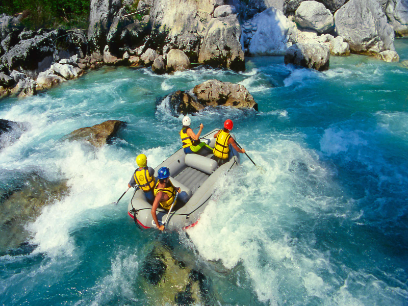 From Paddles to Plunges