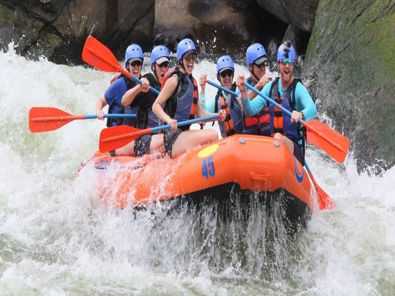 Riding the Rapids