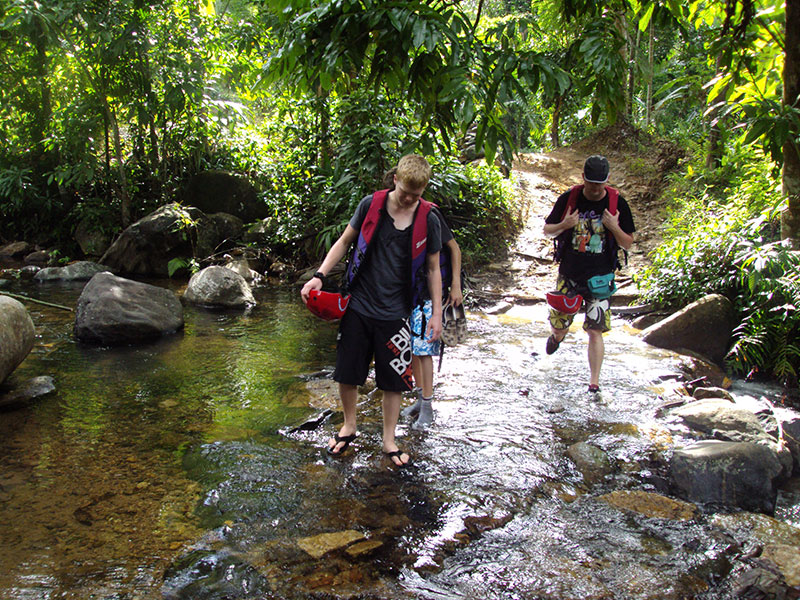 Hiking Through Paradise