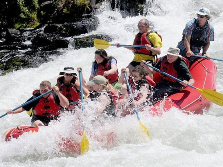 Wildlife Encounters While Rafting