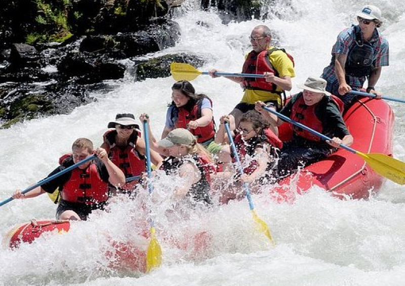 Wildlife Encounters While Rafting