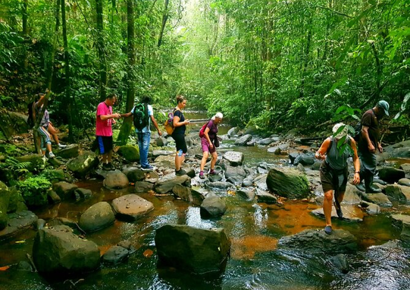 Taming the Torrent