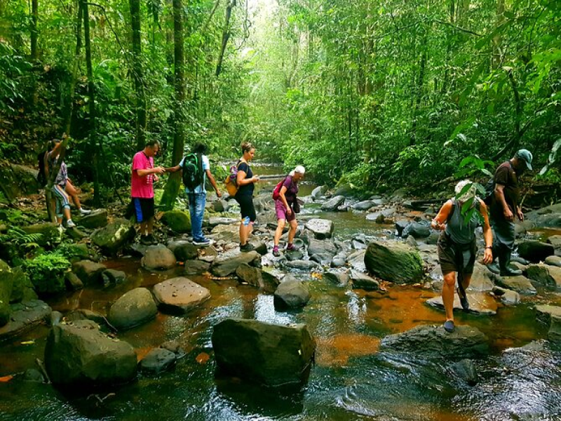 Taming the Torrent