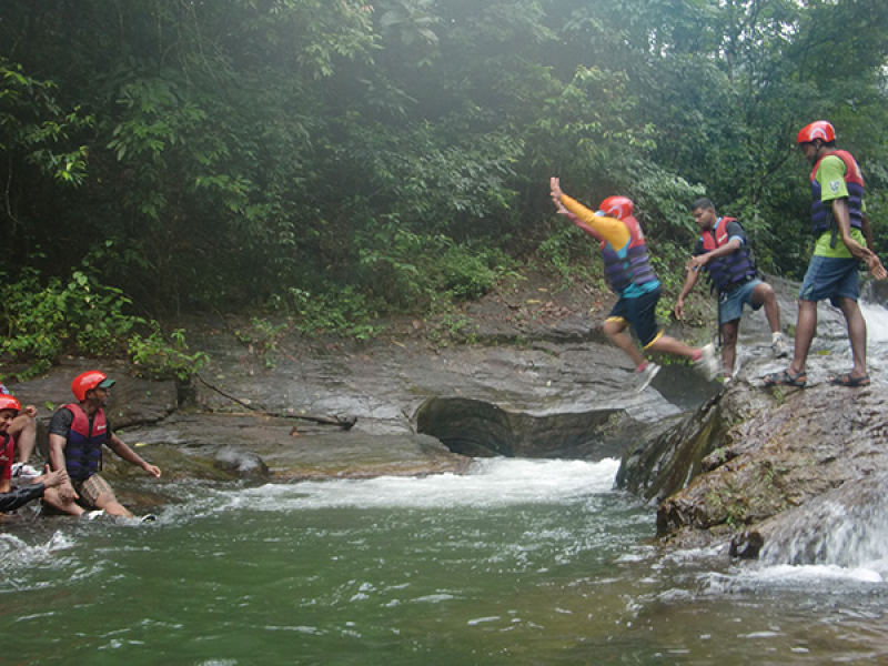 Nature's Playground